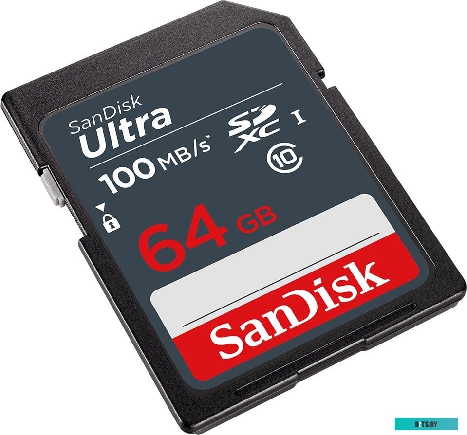 Карта памяти SanDisk Ultra SDXC SDSDUNR-064G-GN3IN 64GB