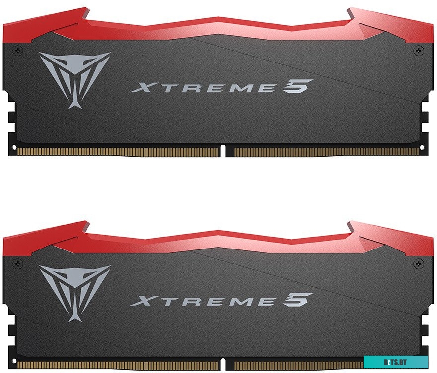 Оперативная память Patriot Viper Xtreme 5 2x24ГБ DDR5 7600 МГц PVX548G76C36K