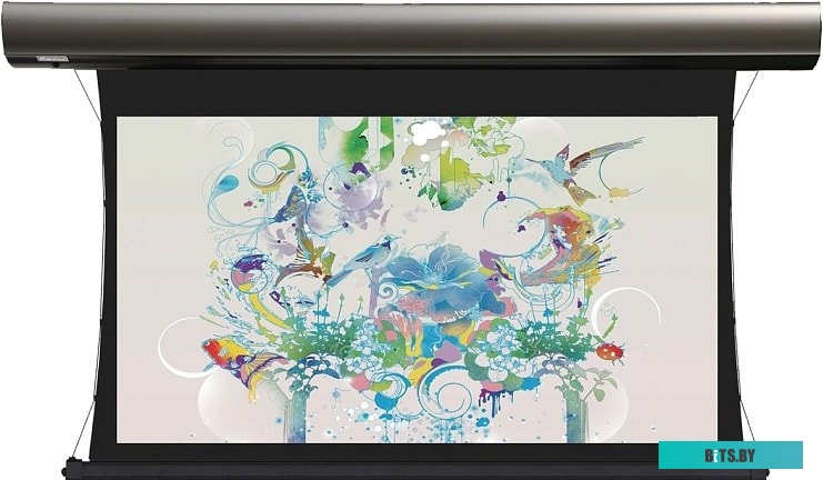Экран для проекторов Lumien Cinema Tensioned Control 184х286 LCTC-100111