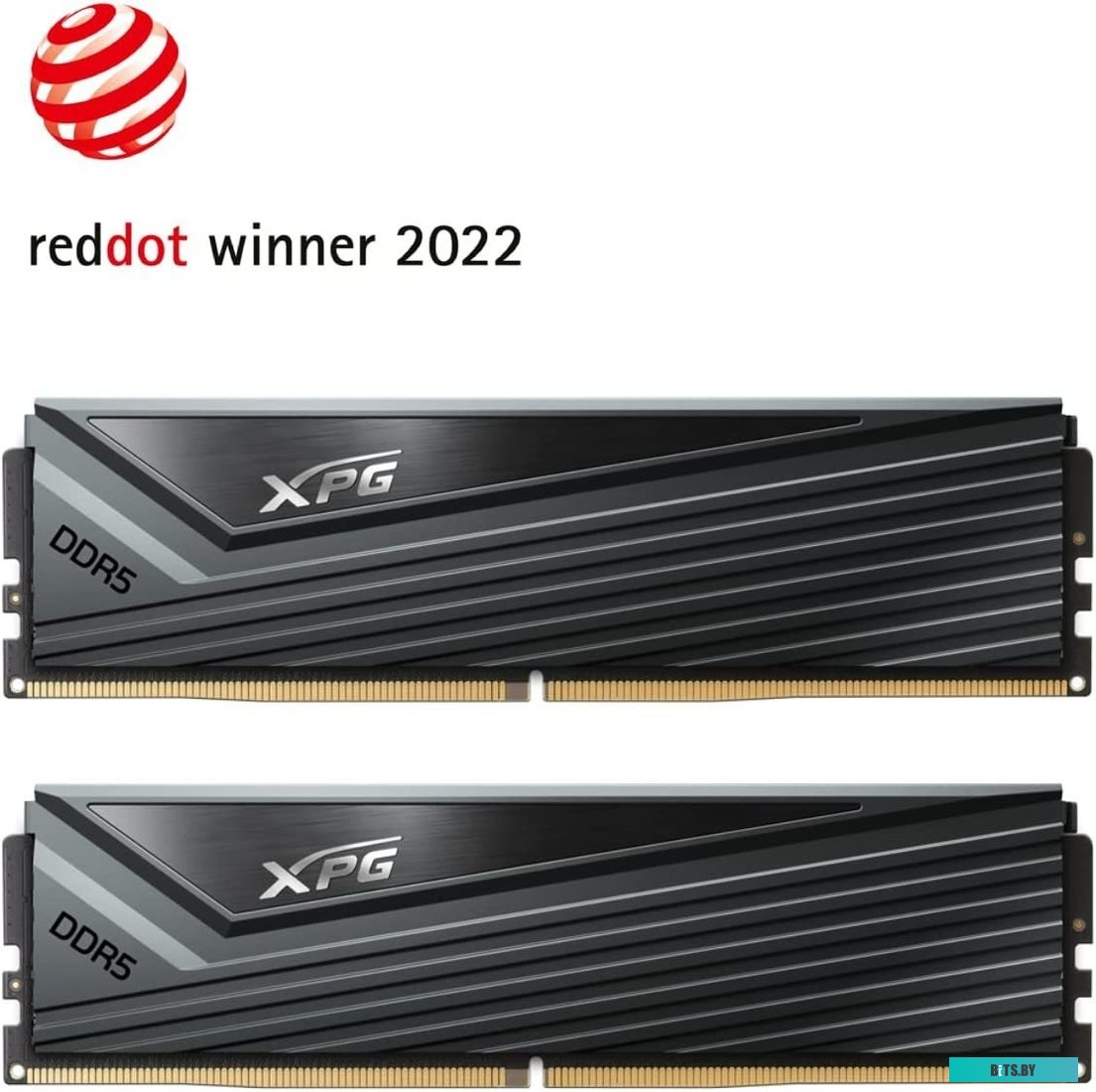 Оперативная память ADATA XPG Caster AX5U6400C3216G-DCCAGY
