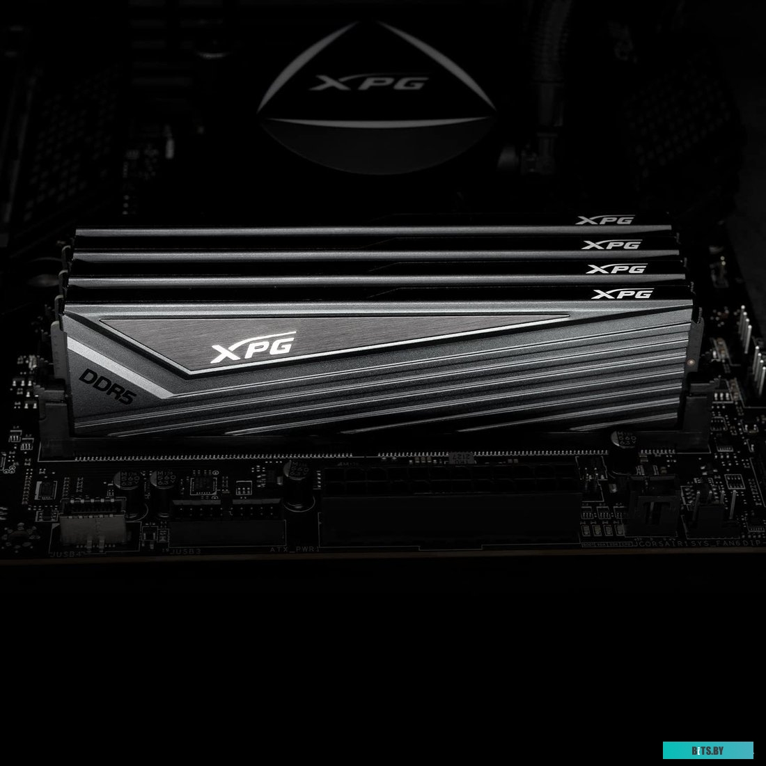 Оперативная память ADATA XPG Caster AX5U6400C3216G-DCCAGY