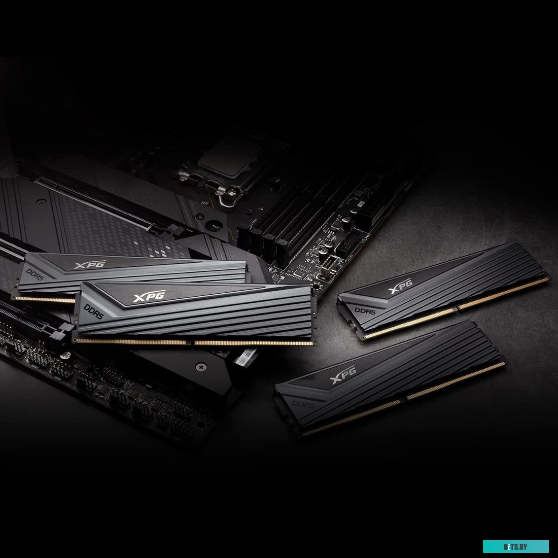 Оперативная память ADATA XPG Caster AX5U6400C3216G-DCCAGY