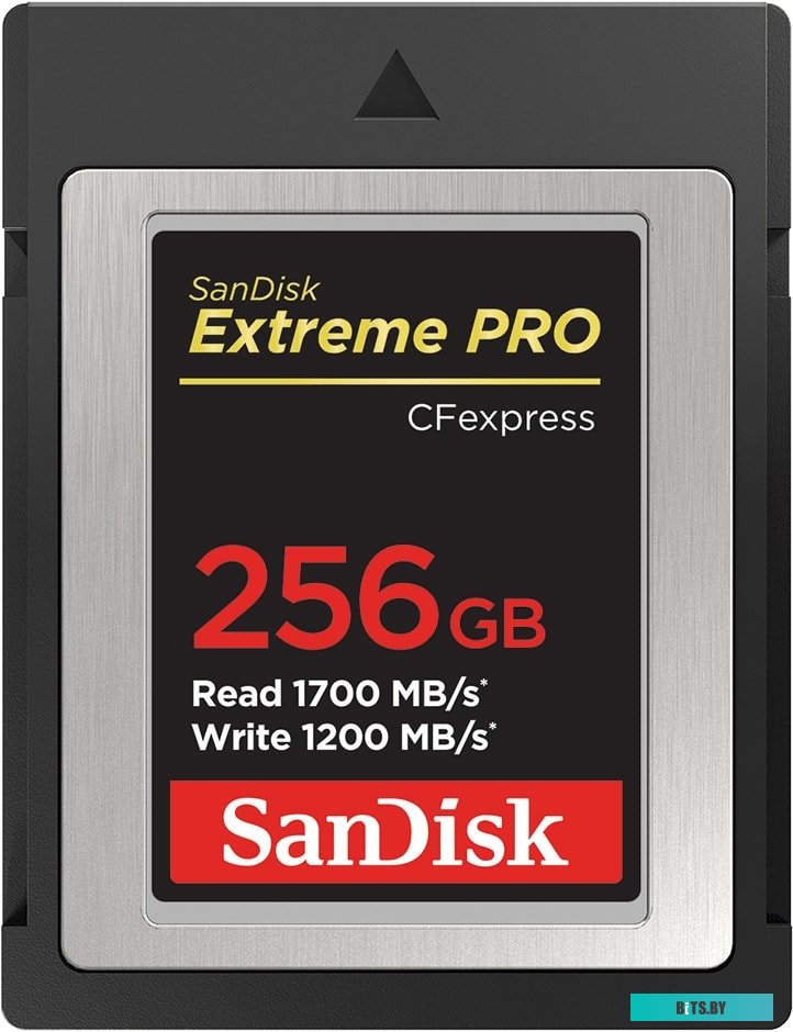 Карта памяти SanDisk Extreme Pro CFexpress Type B SDCFE-256G-GN4NN 256GB