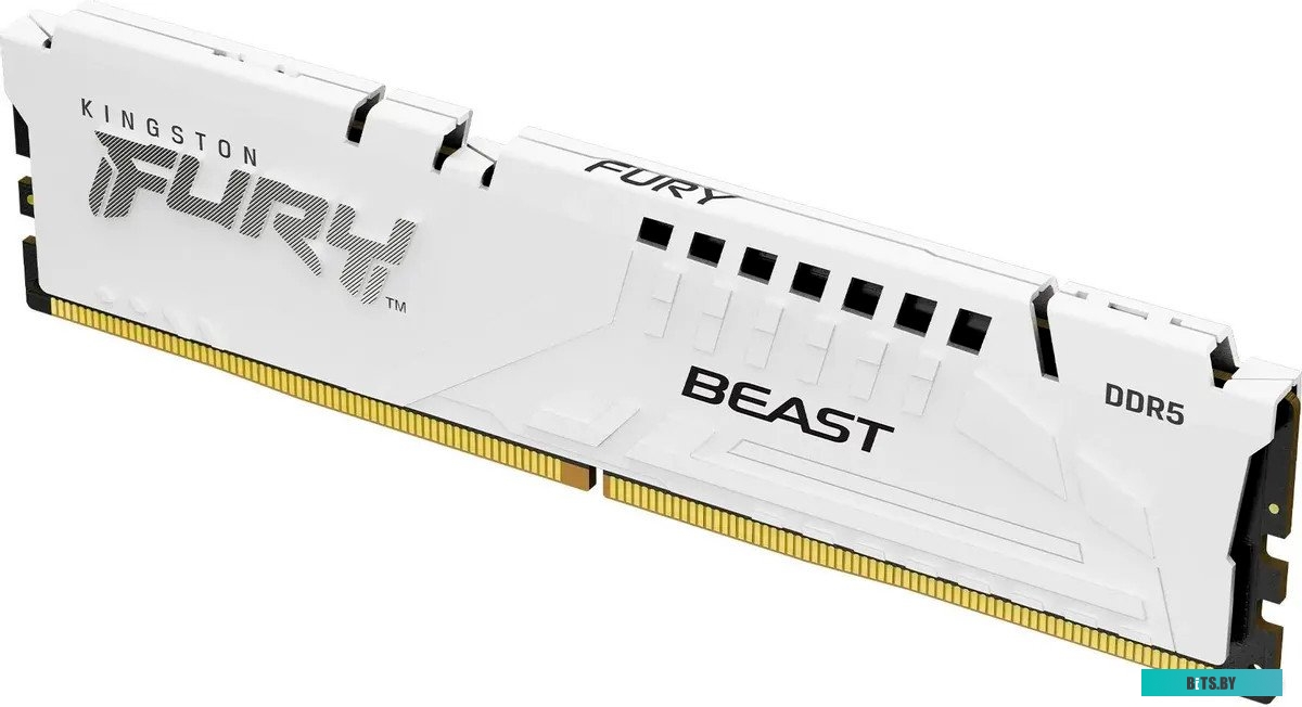 KF552C36BWE-16 Оперативная память Kingston Fury Beast Expo KF552C36BWE-16 DDR5 -  1x 16ГБ 5200МГц, DIMM,  Ret