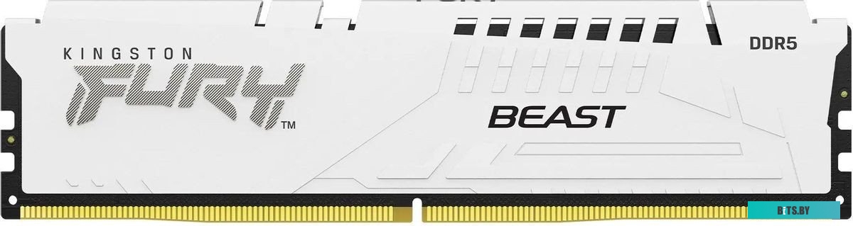 KF552C36BWE-16 Оперативная память Kingston Fury Beast Expo KF552C36BWE-16 DDR5 -  1x 16ГБ 5200МГц, DIMM,  Ret
