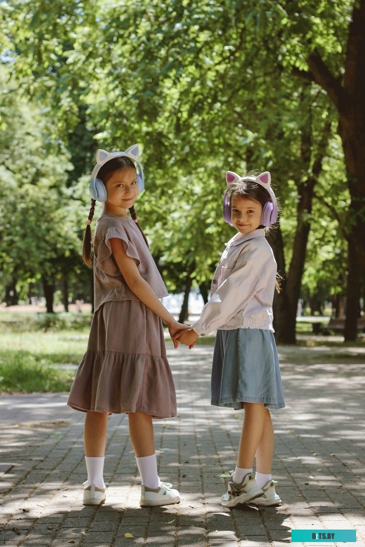 Наушники Miru Cat EP-W10 W101/65603