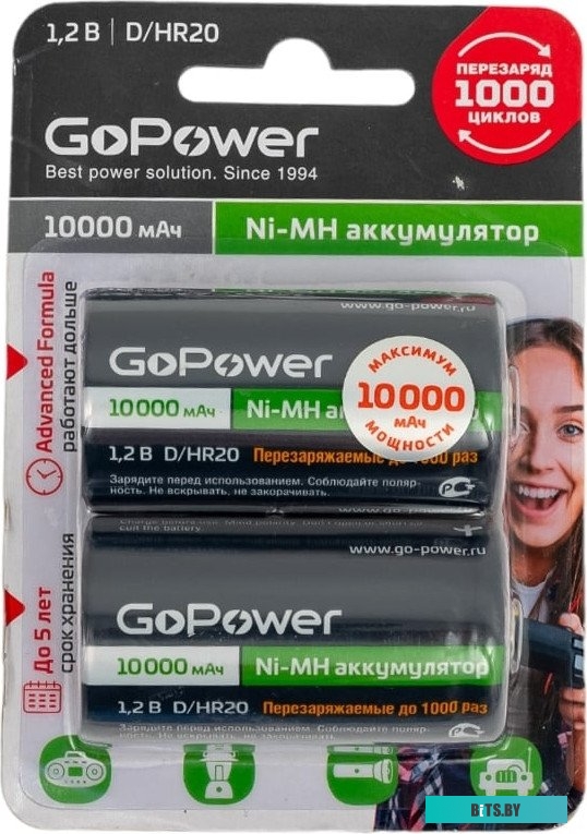 Аккумулятор Бытовой GoPower HR20 D BL2 NI-MH 00-00018323