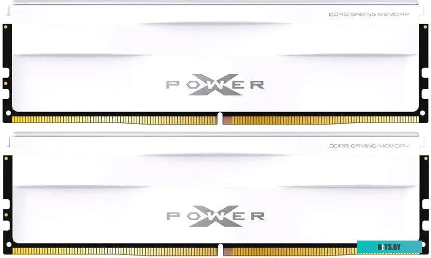 Модуль памяти Silicon Power XPOWER Zenith DDR5 SP032GXLWU600FDG