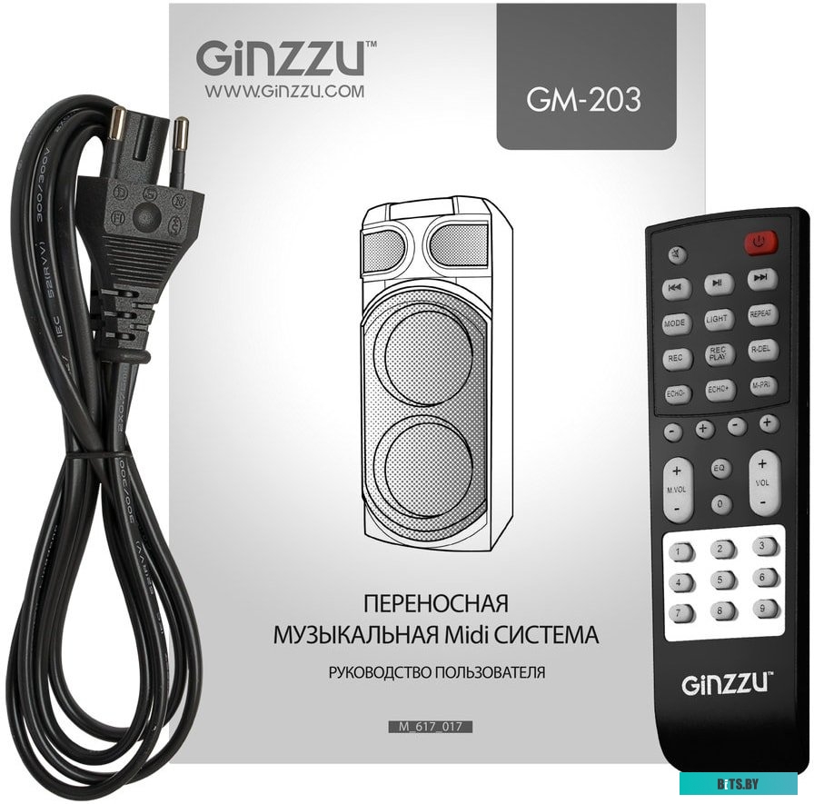 Колонка для вечеринок Ginzzu GM-203
