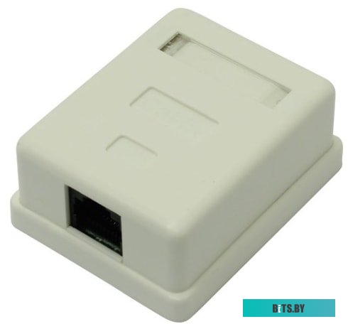 Розетка внешняя ExeGate SM1-RJ45-C5 RJ-45 кат.5/5E UTP Krone/110 <EX271122RUS>