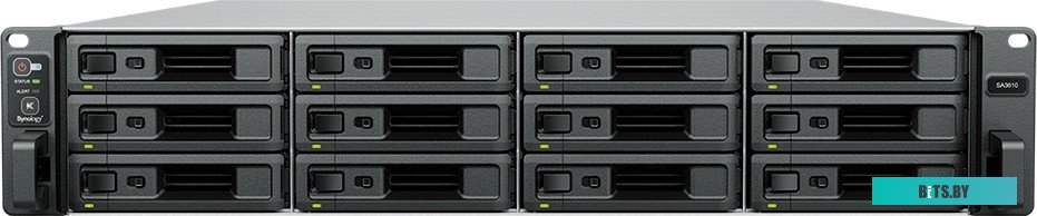 Сетевой накопитель Synology SA3610