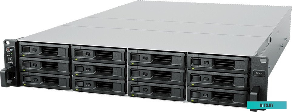 Сетевой накопитель Synology SA3610