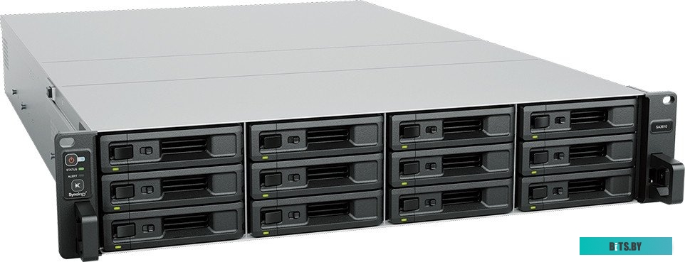 Сетевой накопитель Synology SA3610