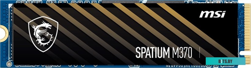 S78-4409P50-P83 S78-4409PW0-P83 MSI Spatium M370 256GB S78-4409P50-P83