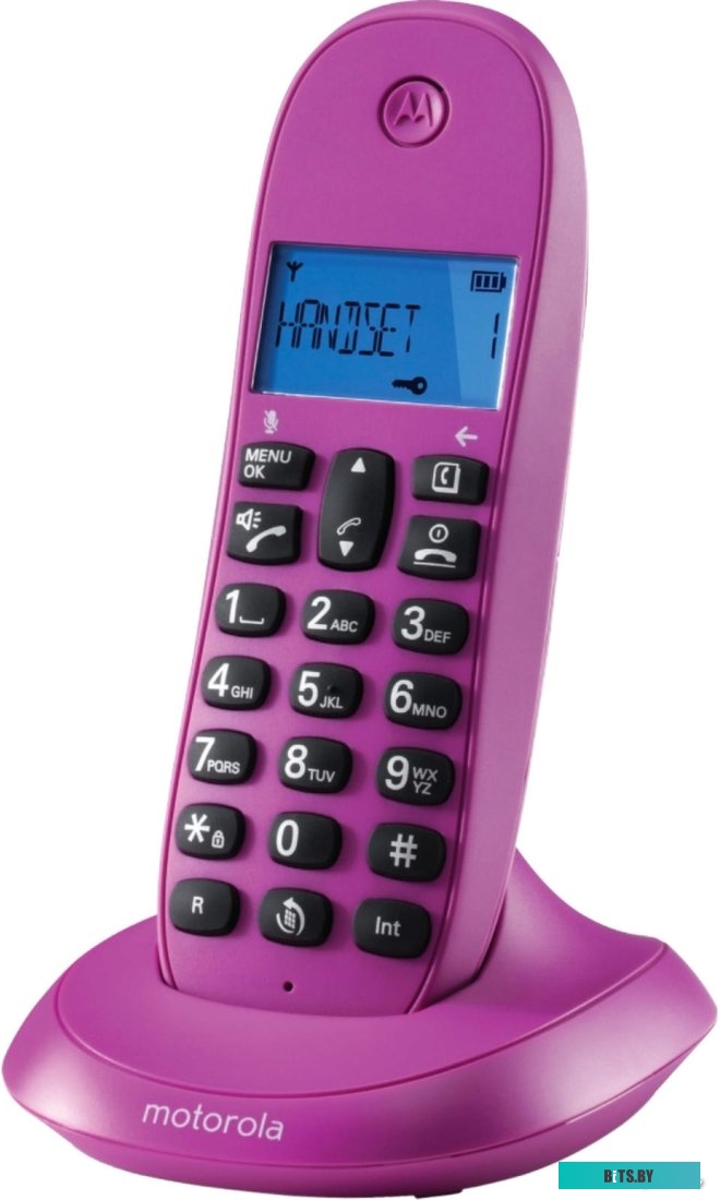 Радиотелефон Motorola C1001LB+ 107C1001VIOLETA