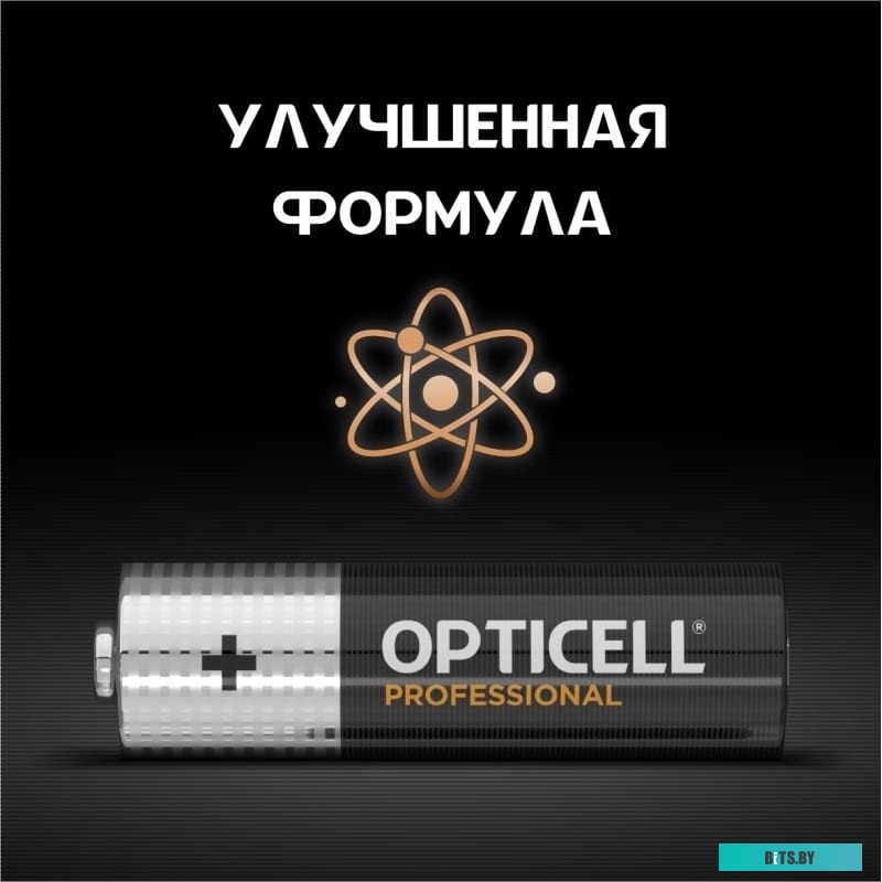 Батарейки Opticell Professional AA 5052005 12шт