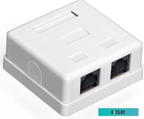 Розетка внешняя двойная ExeGate SM2-RJ45-C5 EX292843RUS