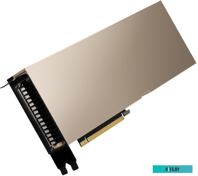 Графическая карта NVIDIA A100 900-21001-0020-100