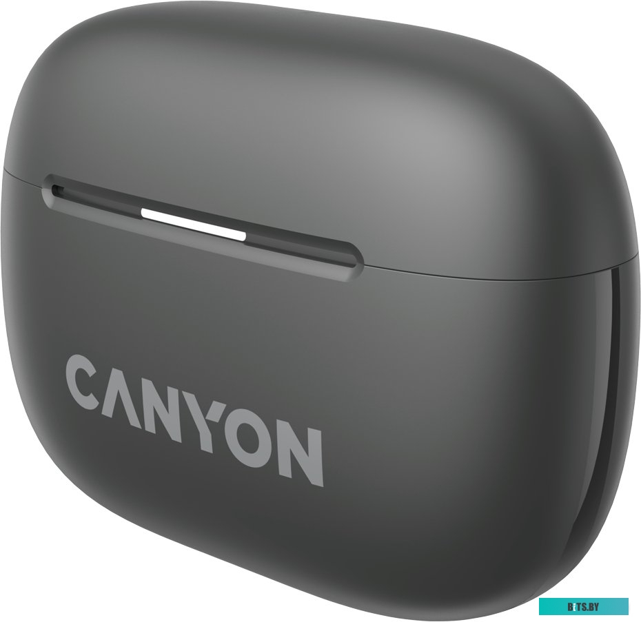 Наушники Canyon OnGo 10 ANC TWS-10 CNS-TWS10BK