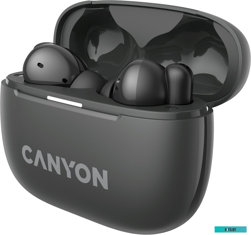 Наушники Canyon OnGo 10 ANC TWS-10 CNS-TWS10BK