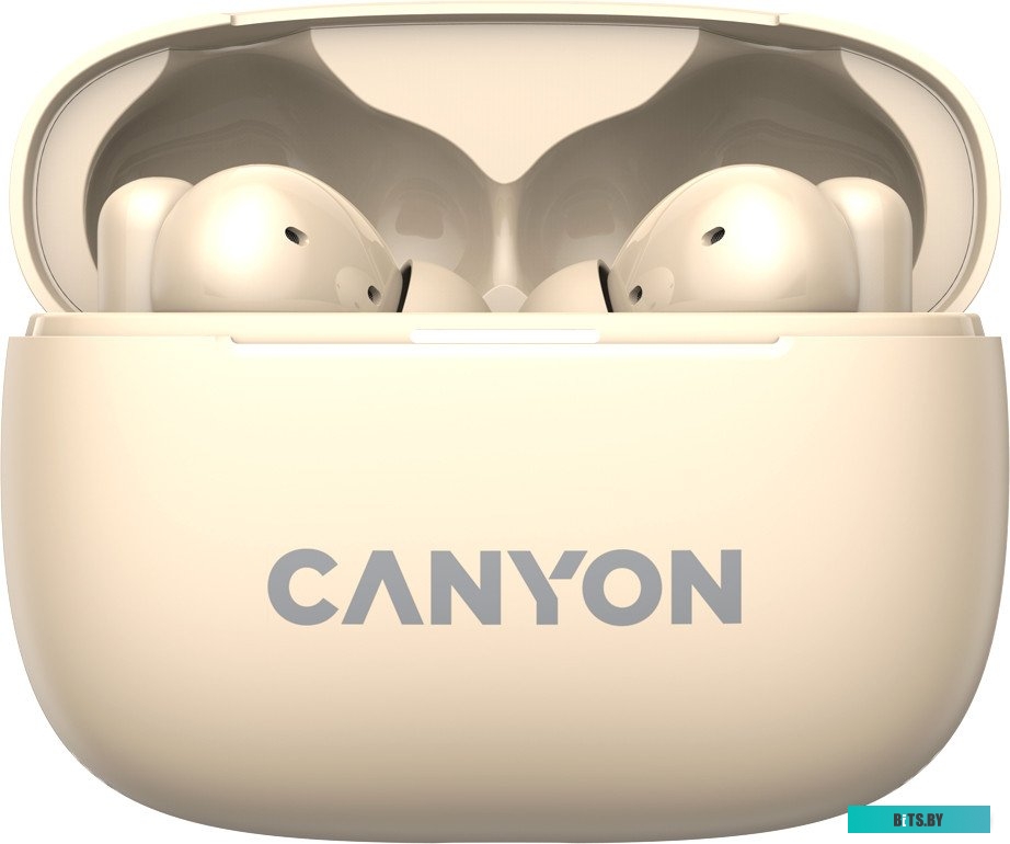 Наушники Canyon OnGo 10 ANC TWS-10 CNS-TWS10BG