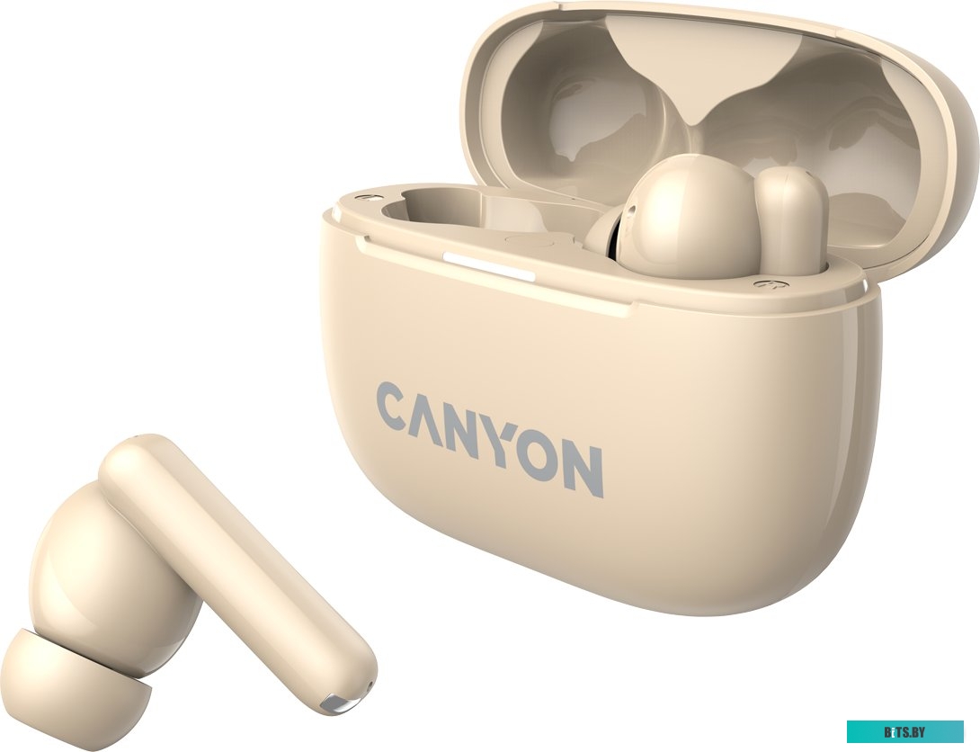 Наушники Canyon OnGo 10 ANC TWS-10 CNS-TWS10BG