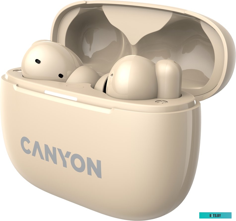 Наушники Canyon OnGo 10 ANC TWS-10 CNS-TWS10BG