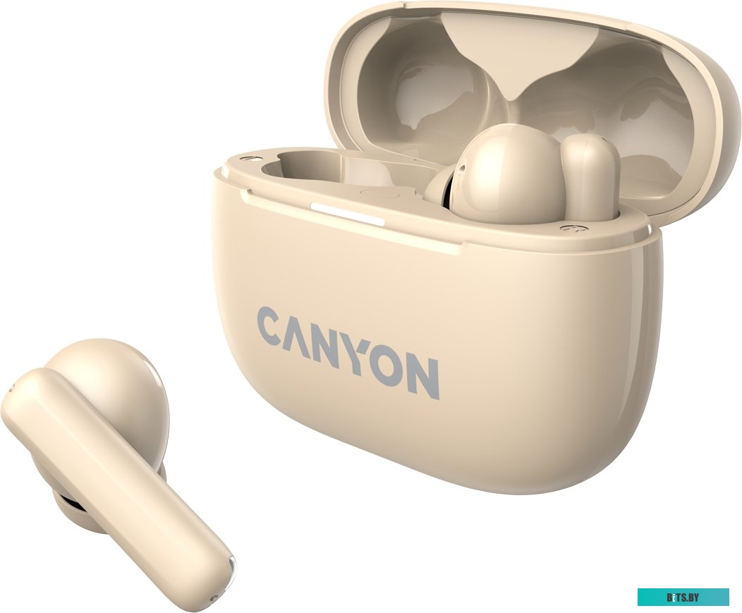 Наушники Canyon OnGo 10 ANC TWS-10 CNS-TWS10BG