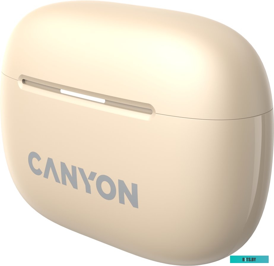 Наушники Canyon OnGo 10 ANC TWS-10 CNS-TWS10BG