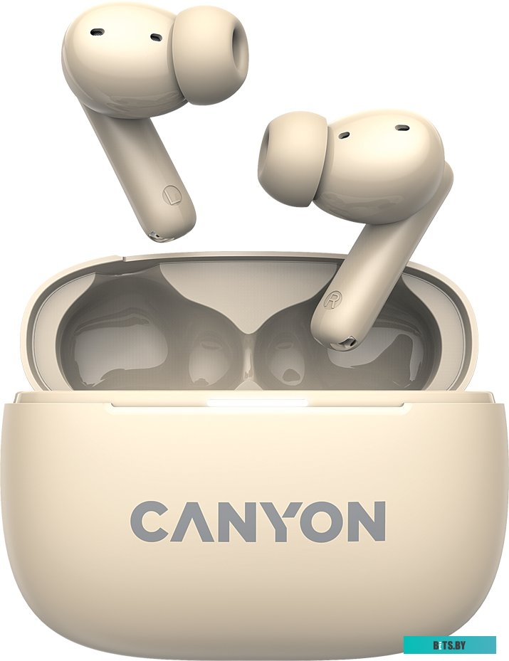 Наушники Canyon OnGo 10 ANC TWS-10 CNS-TWS10BG