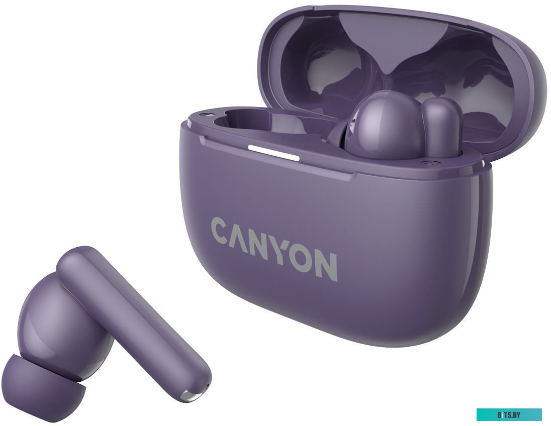 Наушники Canyon OnGo TWS-10 ANC CNS-TWS10PL