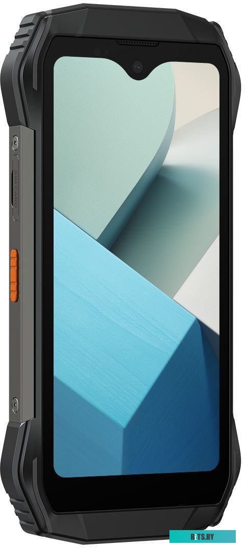 Blackview N6000 (черный)