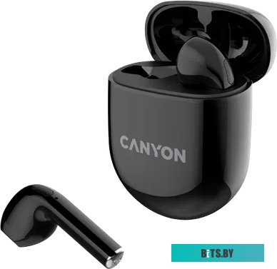 Наушники Внутриканальные Canyon TWS-6 CNS-TWS6B