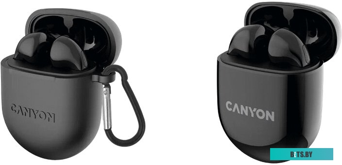 Наушники Внутриканальные Canyon TWS-6 CNS-TWS6B