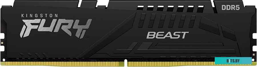 Оперативная память Kingston FURY Beast KF552C36BBE-32