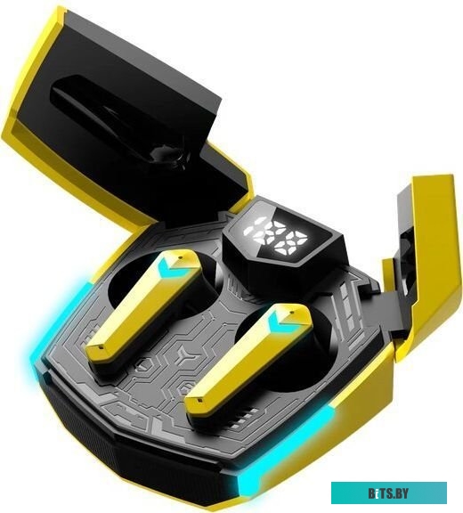 Беспроводные наушники Canyon Doublebee GTWS-2