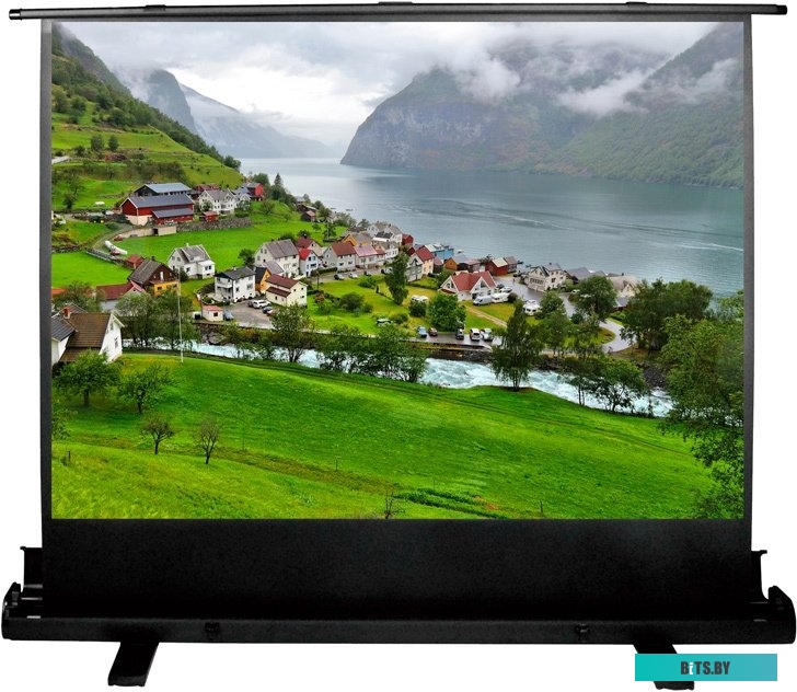 Экран для проекторов Cactus FloorExpert 102x180 CS-PSFLE-180X102 <CS-PSFLE-180х102>