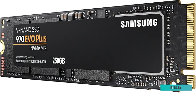 SSD Накопитель Samsung 970 Evo Plus 250GB MZ-V7S250BW
