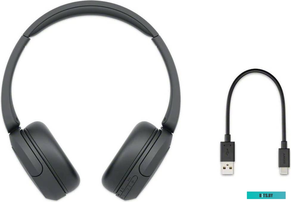 Наушники Sony WH-CH520 (черный)