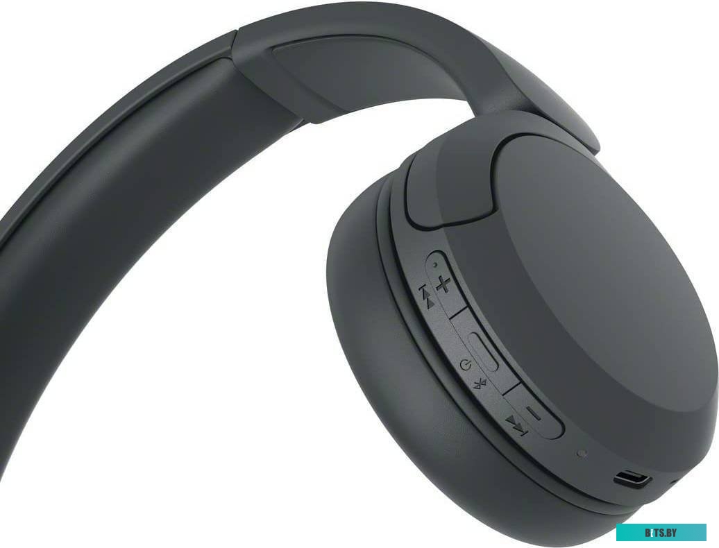 Наушники Sony WH-CH520 (черный)
