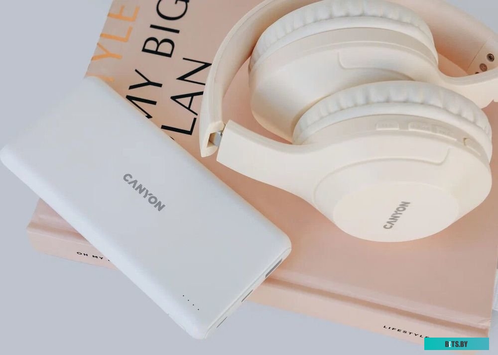 Внешний аккумулятор Canyon PB-1009 10000mAh (белый) <CNE-CPB1009W>
