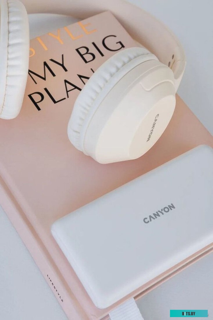 Внешний аккумулятор Canyon PB-1009 10000mAh (белый) <CNE-CPB1009W>