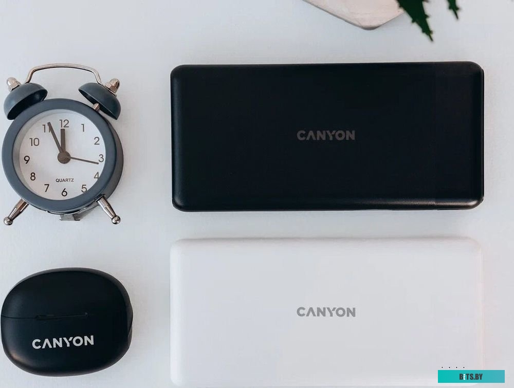 Внешний аккумулятор Canyon PB-1009 10000mAh (белый) <CNE-CPB1009W>