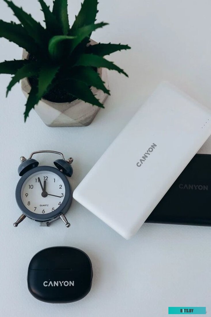 Внешний аккумулятор Canyon PB-1009 10000mAh (белый) <CNE-CPB1009W>