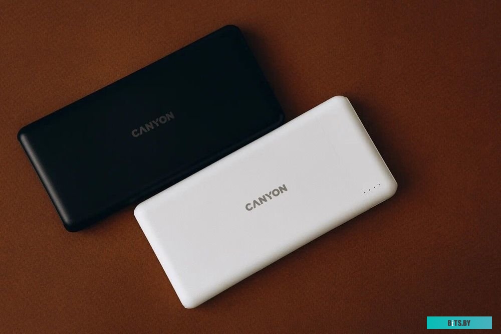 Внешний аккумулятор Canyon PB-1009 10000mAh (белый) <CNE-CPB1009W>