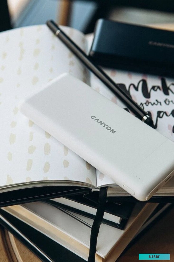 Внешний аккумулятор Canyon PB-1009 10000mAh (белый) <CNE-CPB1009W>