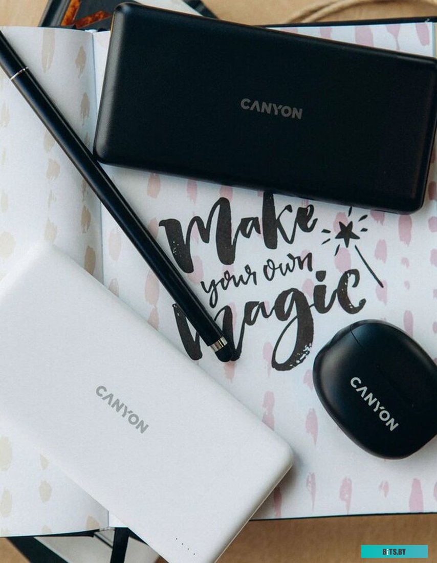 Внешний аккумулятор Canyon PB-1009 10000mAh (белый) <CNE-CPB1009W>