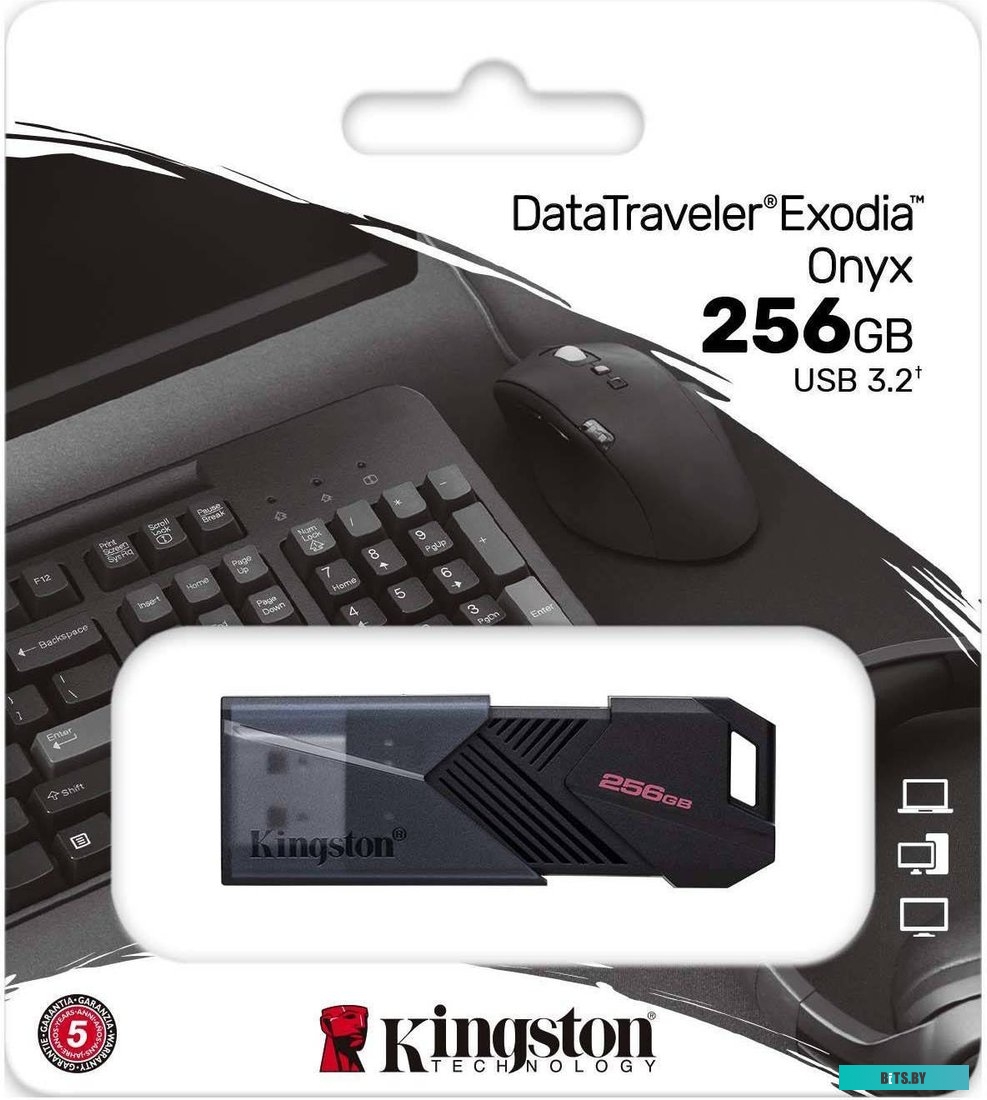 Флеш Диск Kingston 256Gb DataTraveler Exodia Onyx DTXON/256GB USB3.2 черный