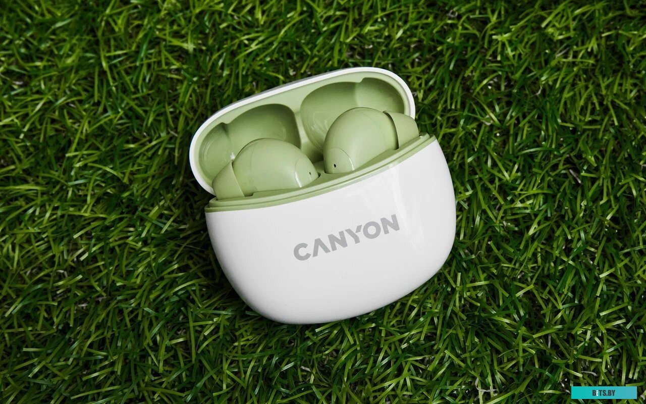 Наушники (Гарнитура) Canyon CNS-TWS5GR