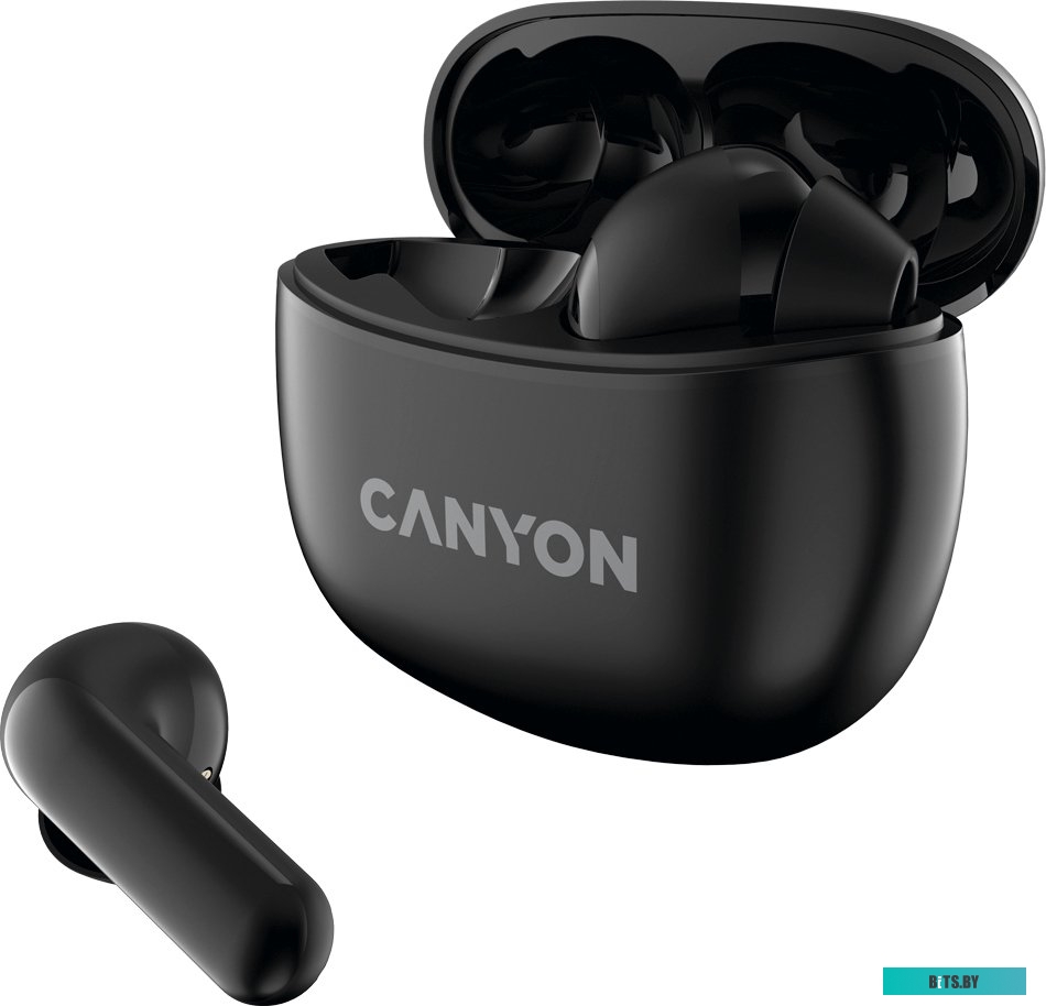 Наушники (Гарнитура) Canyon CNS-TWS5B